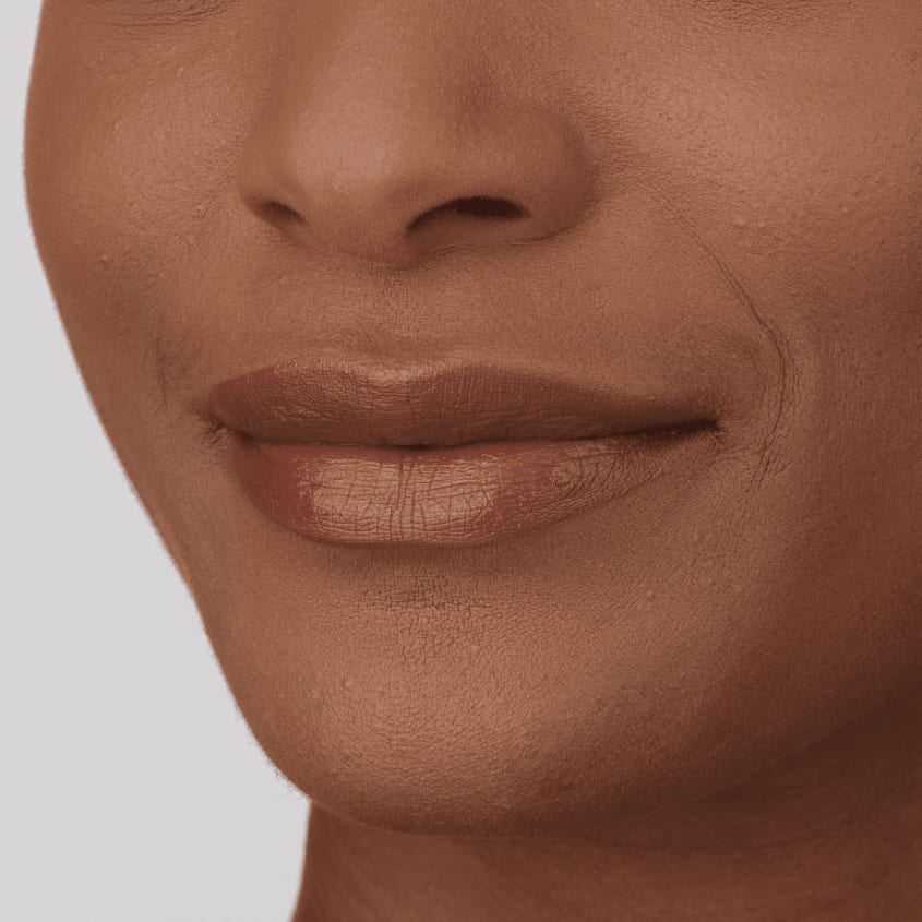 Perfect Moisture Lipstick