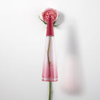 ISSEY MIYAKE L`EAU DISSEY ROSE&ROSE EDP INTENSE 50ML – free delivery