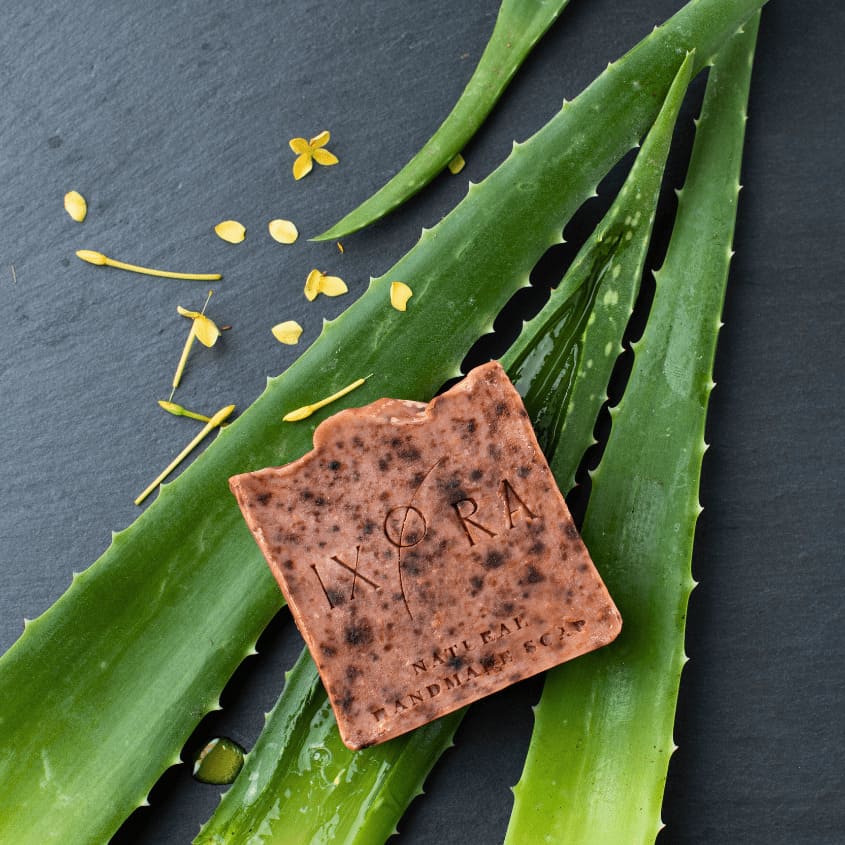 Aloevera Natural Handmade Soap