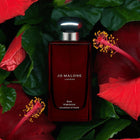 JO MALONE LONDON RED HIBISCUS COLOGNE INTENSE 100 ML – buy online
