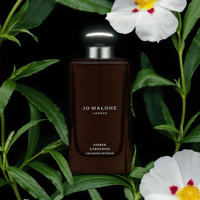 JO MALONE LONDON AMBER LABDANUM 50ML PPK – free delivery