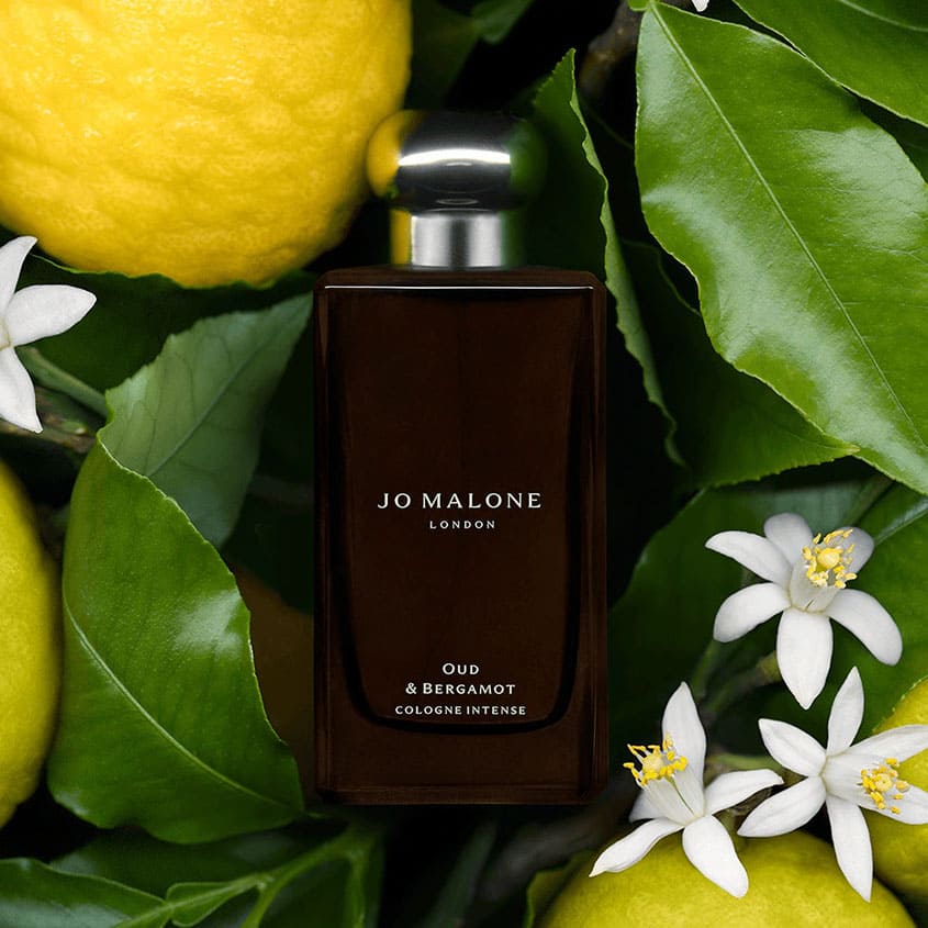 JO MALONE LONDON OUD & BERGAMOT COLOGNE INTENSE 100ML – buy online