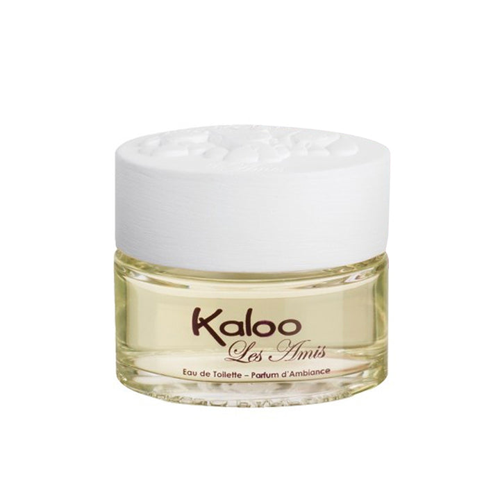 Kids' perfume LES AMIS EDT 100ML