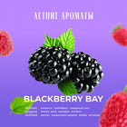 KUNDAL BLACKBERRY BAY SHAMPOO 500ML – صورة 5