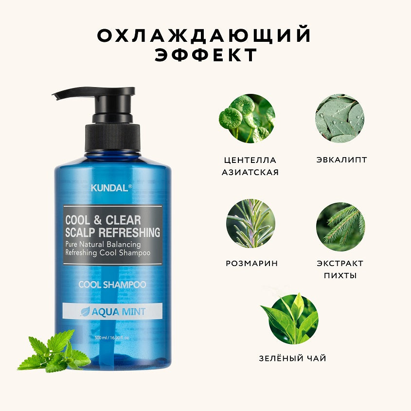KUNDAL SCALP REFRESHING COOL SHAMPOO AQUA MINT 500ML – صورة 7