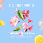 KUNDAL CHERRY BLOSSOM BODY SCRUB 550G – صورة 5