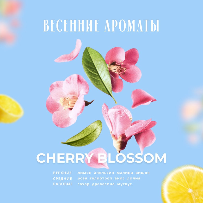 KUNDAL CHERRY BLOSSOM BODY SCRUB 550G – صورة 5