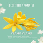 KUNDAL YLANG YLANG BODY SCRUB 550G – صورة 6