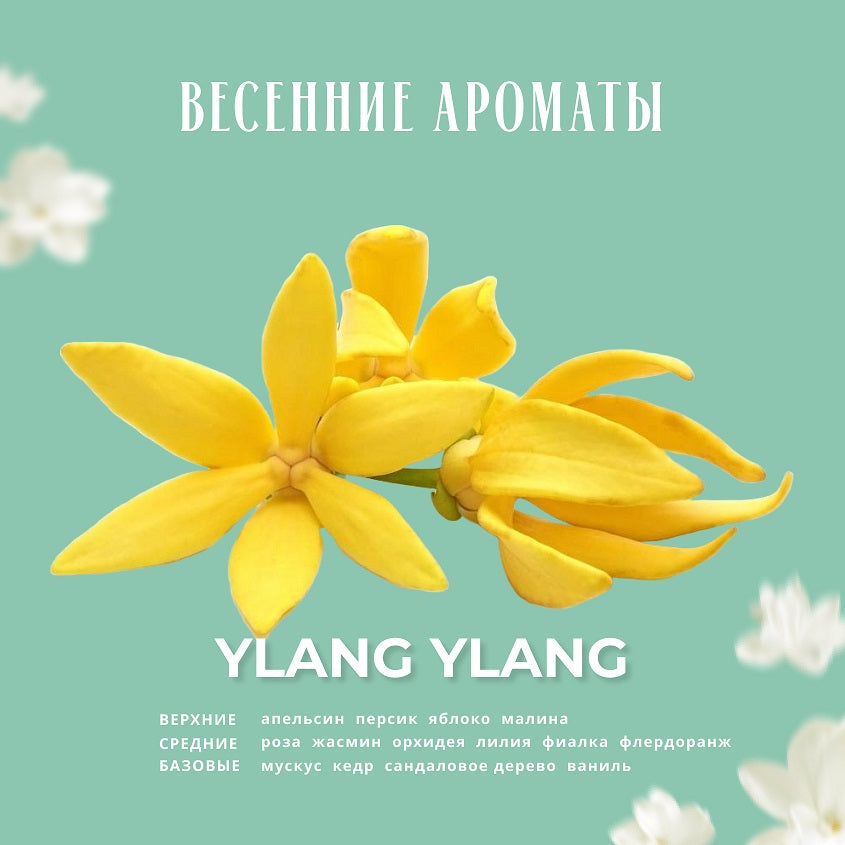 KUNDAL YLANG YLANG BODY SCRUB 550G – صورة 6