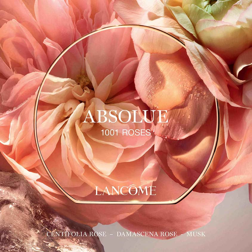 LANCOME ABSOLUE LES PARFUMS NOT YOUR ROSE EDP 100ML – متجر إلكتروني