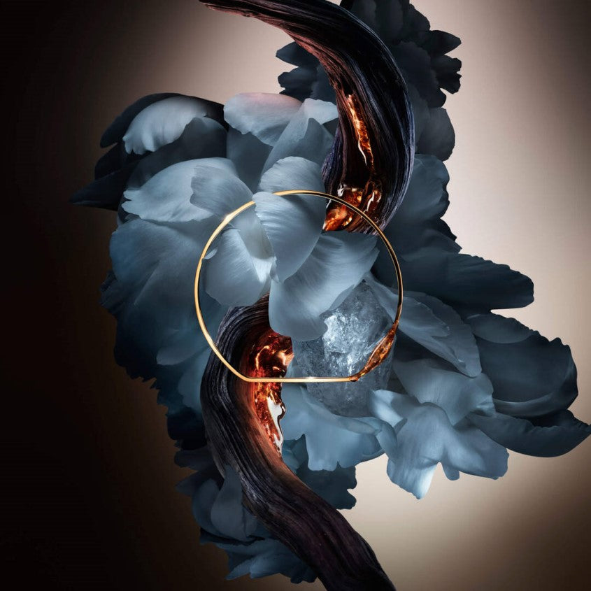 Absolue Les Parfums Rose from the Dark