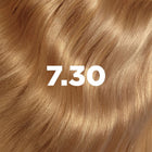 La Couleur Absolue Permanent Haircolour