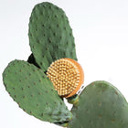 Body Brush Lymph-Lite Boom Brush For Body