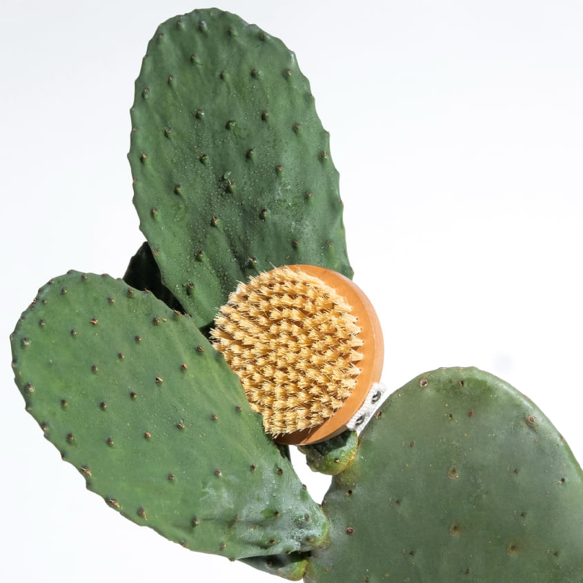 Body Brush Lymph-Lite Boom Brush For Body