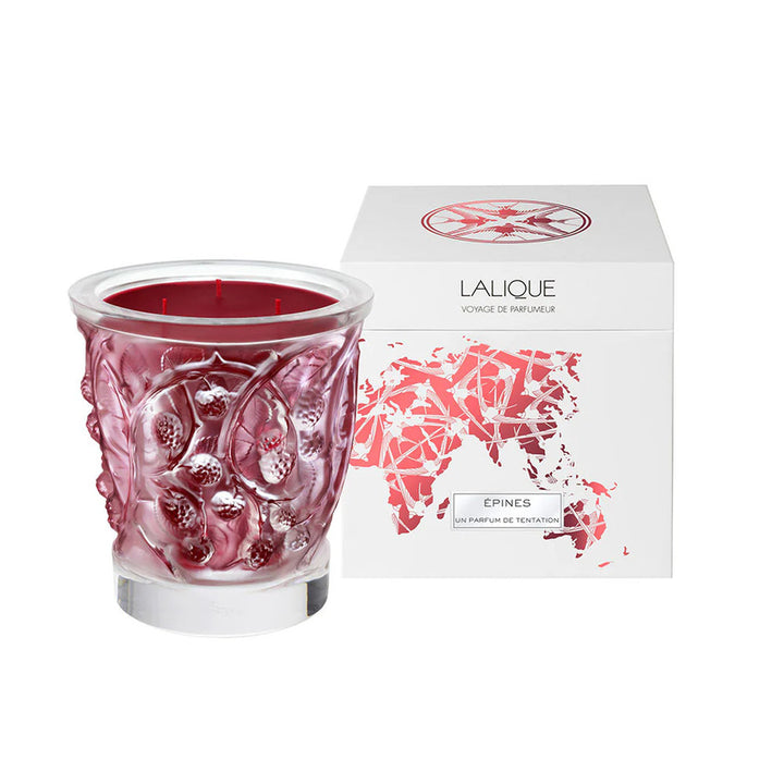For home CRYSTAL CANDLE VASE EPINES 750G
