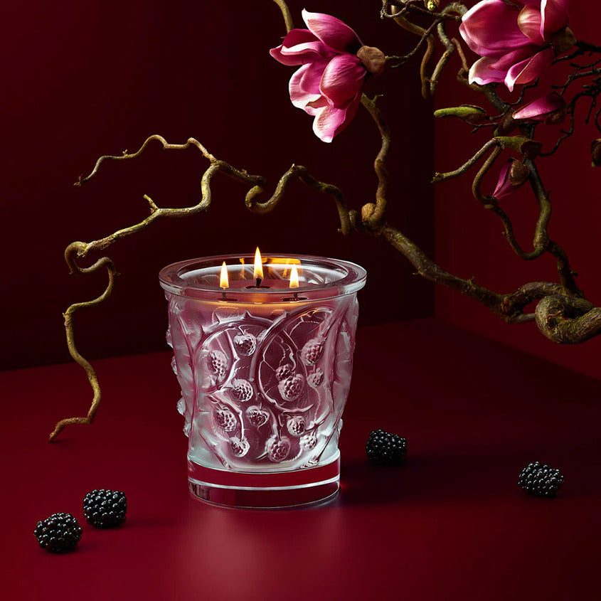 LALIQUE CRYSTAL CANDLE VASE EPINES 750G – buy online