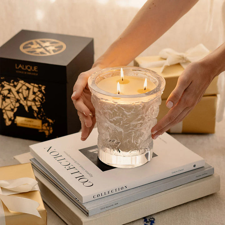 CRYSTAL CANDLE VASE FORET 750G