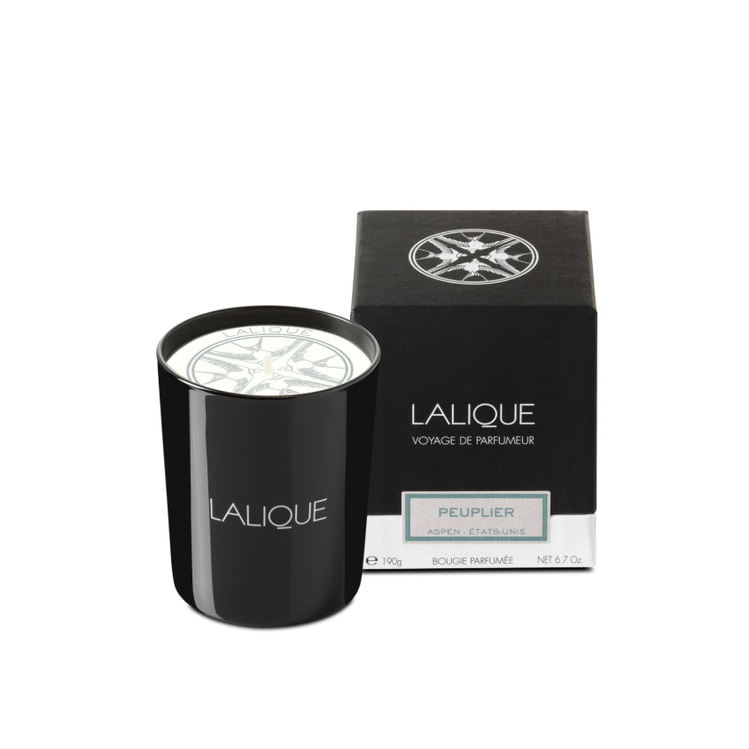 Scented Candle Peuplier