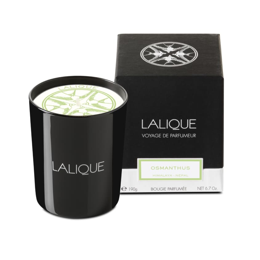 Scented Candle Osmanthus