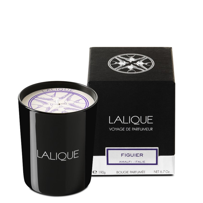 LALIQUE SANDLE FIGUIER 190G