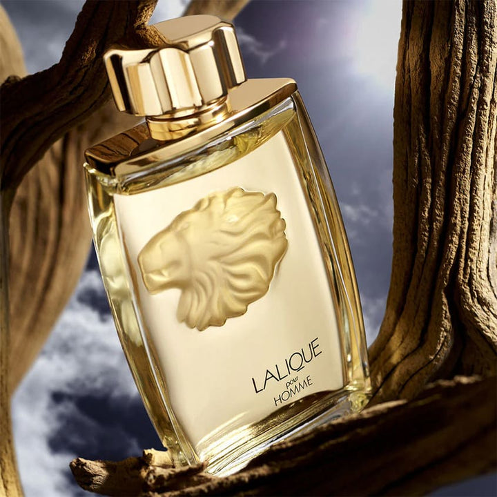 Men's perfume LALIQUE POUR HOMME FM EDP VAPO 125 ML