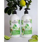 Shampoo for Normal to Oily Hair Purifying