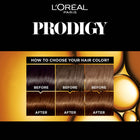 Prodigy Permanent Oil Hair Colour