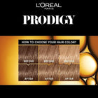 Prodigy Permanent Oil Hair Colour