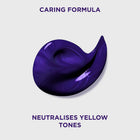 L'ORÉAL PARIS ELI PURPLE SHP B200ML 002 – شراء أونلاين
