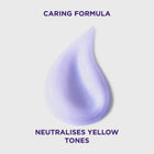 L'ORÉAL PARIS ELI CV MASK T150 PURPLE 002 – online store
