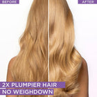 L'ORÉAL PARIS ELV HYALURON SHP B400ML 002 – توصيل مجاني