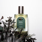 LE PLEIN ETE HIDDEN TREASURE SANCHEONG EDT 50ML – buy online