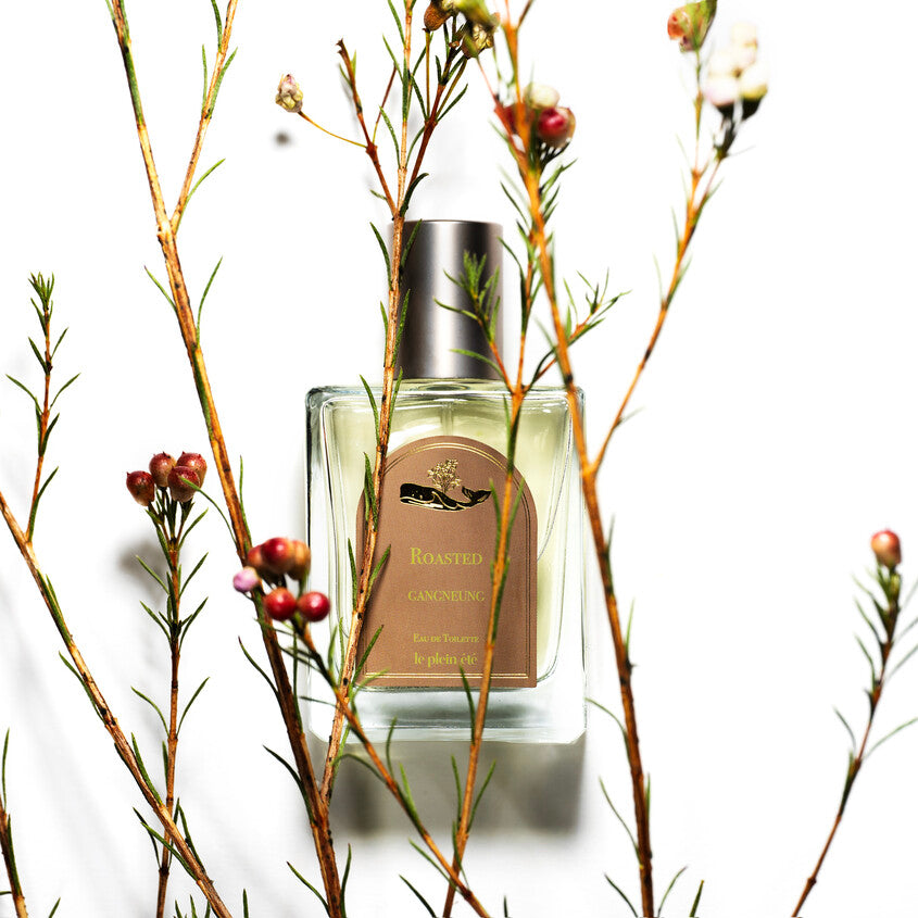 LE PLEIN ETE ROASTED GANGNEUNG EDT 50ML – شراء أونلاين