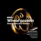 Serie Expert Absolut Repair Shampoo With Protein And Gold Quinoa