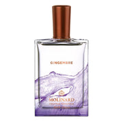 Gingembre