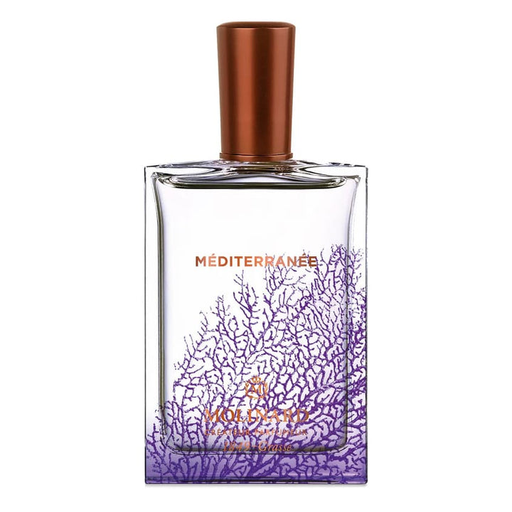 Mediterranee