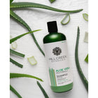 MILLCREEK ALOE VERA SHAM 140Z