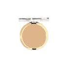 Conceal + Perfect Shine-Proof Powder