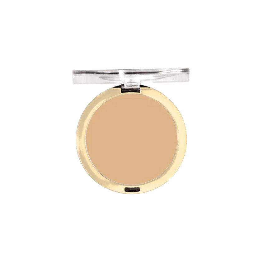 Conceal + Perfect Shine-Proof Powder