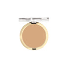 Conceal + Perfect Shine-Proof Powder