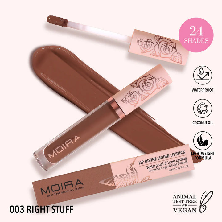 Lip Divine Liquid Lipstick