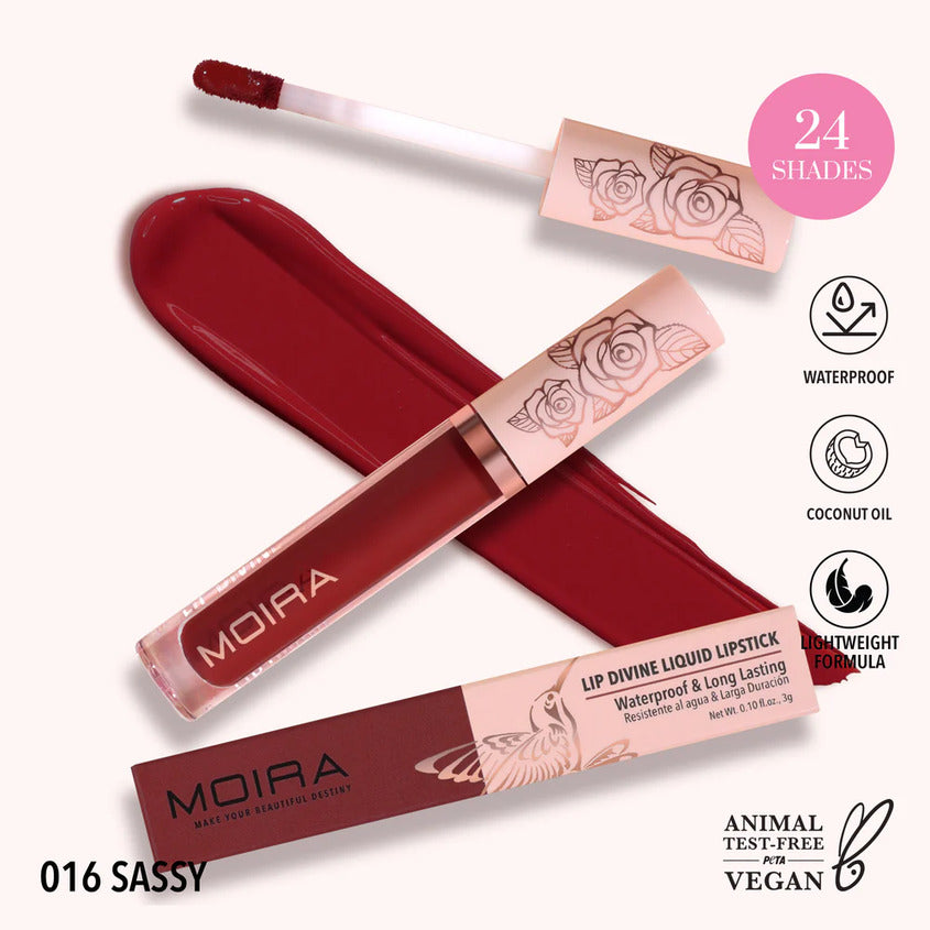 Lip Divine Liquid Lipstick