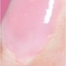 16 Pink Blossom