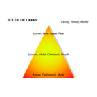 MONTALE SOLEIL DE CAPRI EDP 100ML – online store