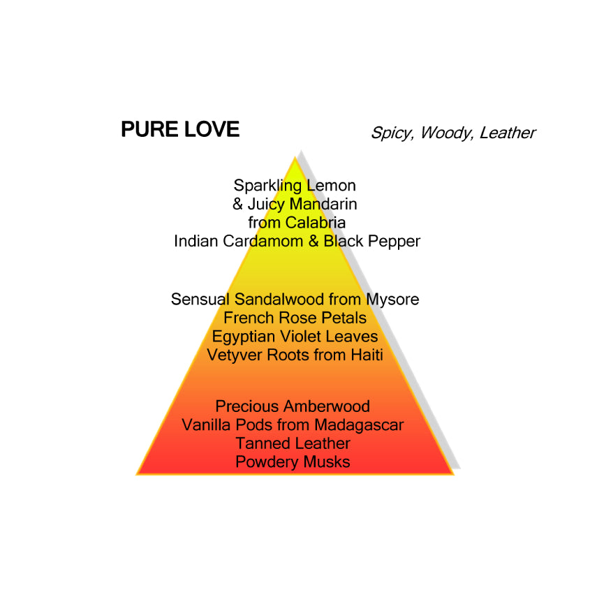 MONTALE PURE LOVE EDP 100 ML – buy online