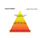 Aoud Forest