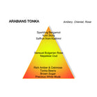 Arabians Tonka