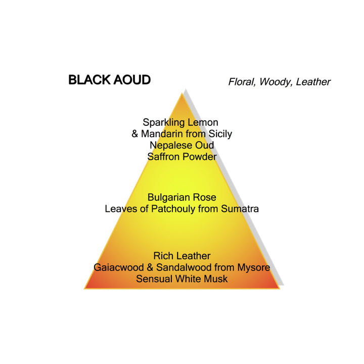 BLACK AOUD EDP 100 ML