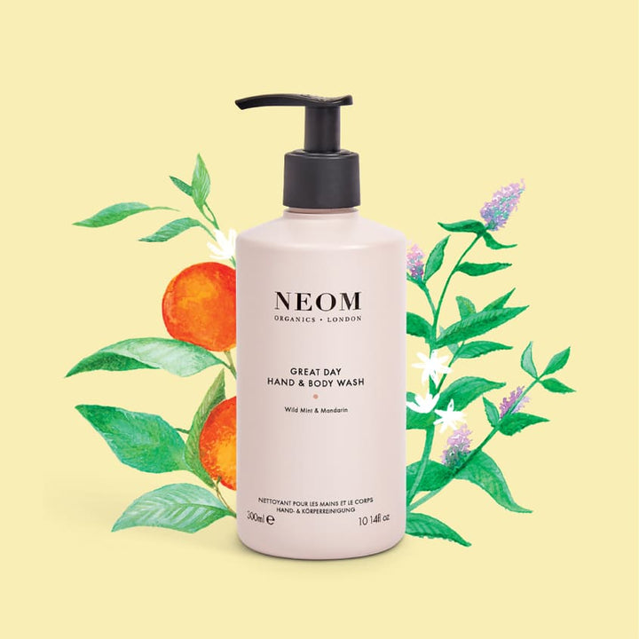 BODY AND HAND WASH GREAT DAY 300ML
