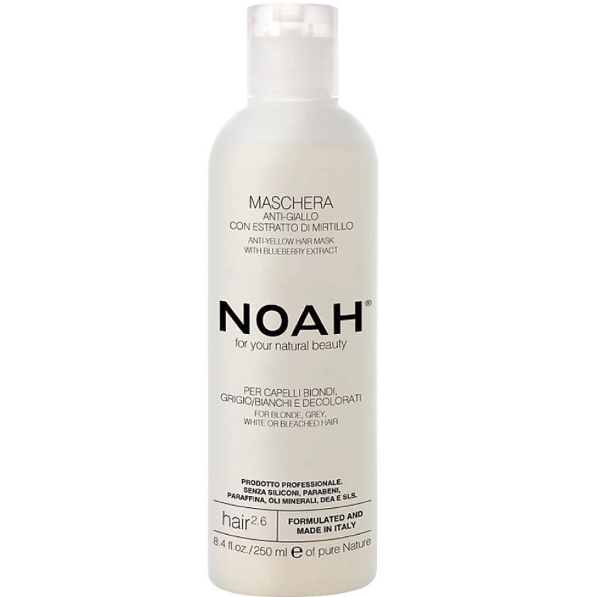 NOAH FOR YOUR NATURAL BEAUTY ANTI - YELLOW HAIR MASK WITH BLUEBERRY EXTRACT 250 ML